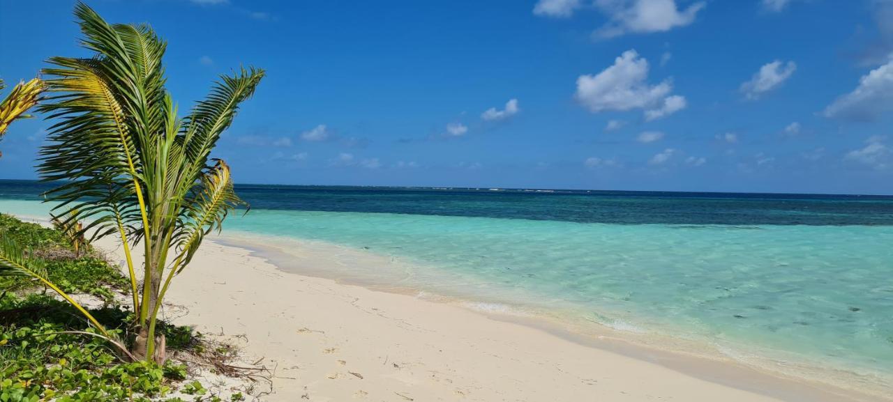 Gite Kaz A Topaze, Piscine, Jardin Tropical Sainte-Rose Exteriör bild