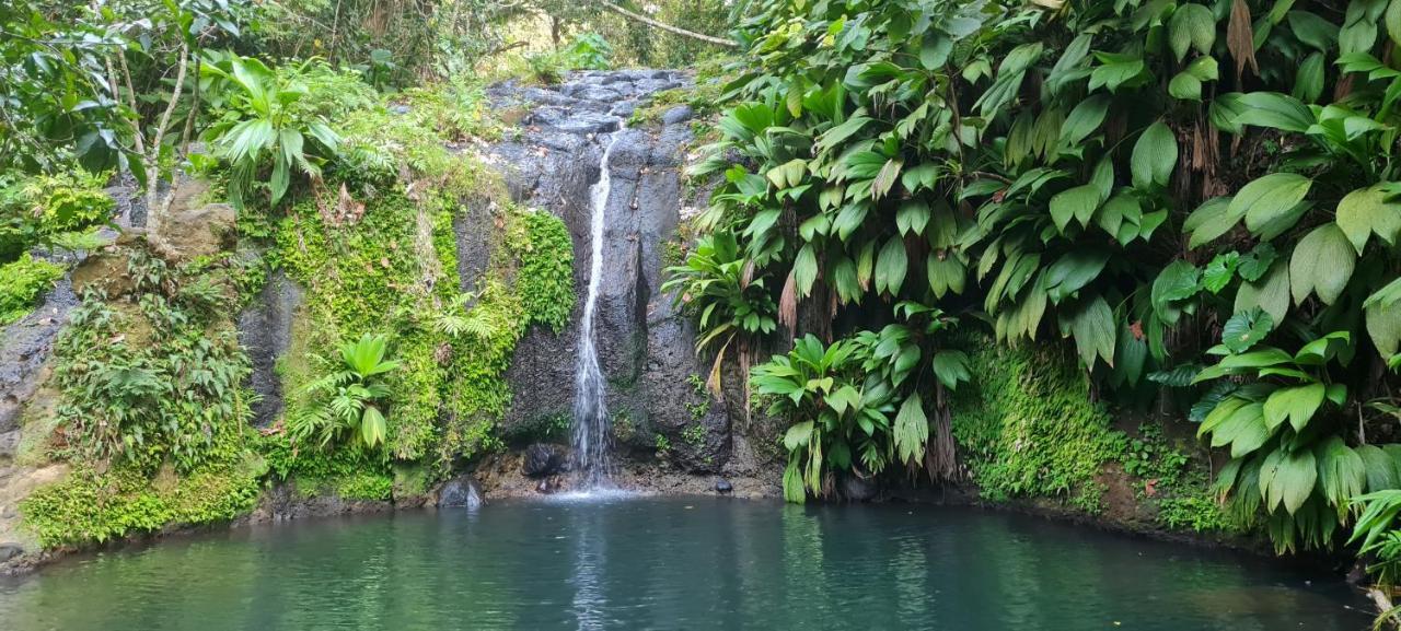 Gite Kaz A Topaze, Piscine, Jardin Tropical Sainte-Rose Exteriör bild