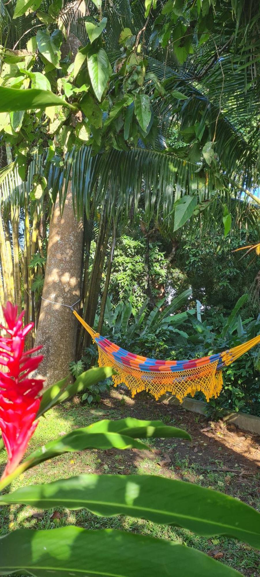 Gite Kaz A Topaze, Piscine, Jardin Tropical Sainte-Rose Exteriör bild